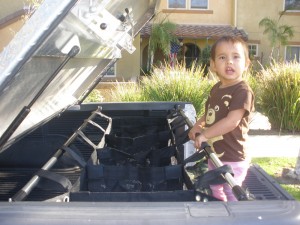 cargocatch lightweight truck tool box