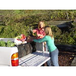 CargoCatch Pickup Truck Bed Organizer